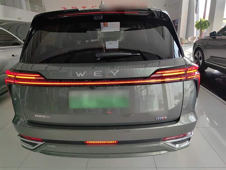 Wey Lanshan 2025 2025款 四驱智驾 Ultra