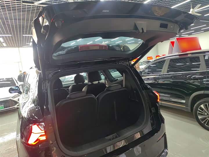 Geely Okavango L 2025 2025款 2.0T DCT尊享款