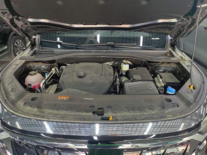 Geely Okavango L 2025 2025款 2.0T DCT尊享款