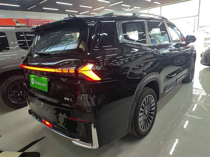 Geely Okavango L 2025 2025款 2.0T DCT尊享款