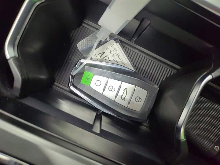 Geely Okavango L 2025 2025款 2.0T DCT尊享款