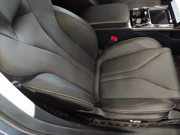 XPeng P5 2022 2022款 460E+