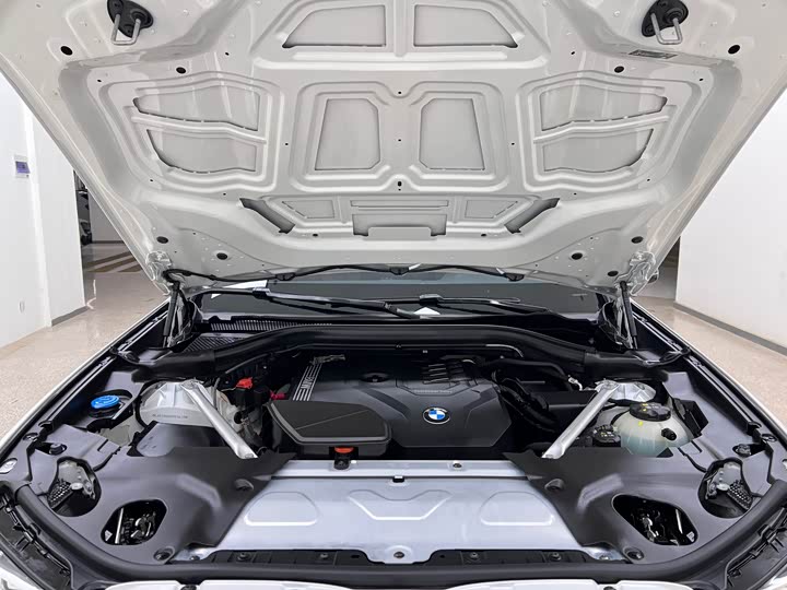 BMW X3 2023 2023款 改款 xDrive30i 领先型 M曜夜套装