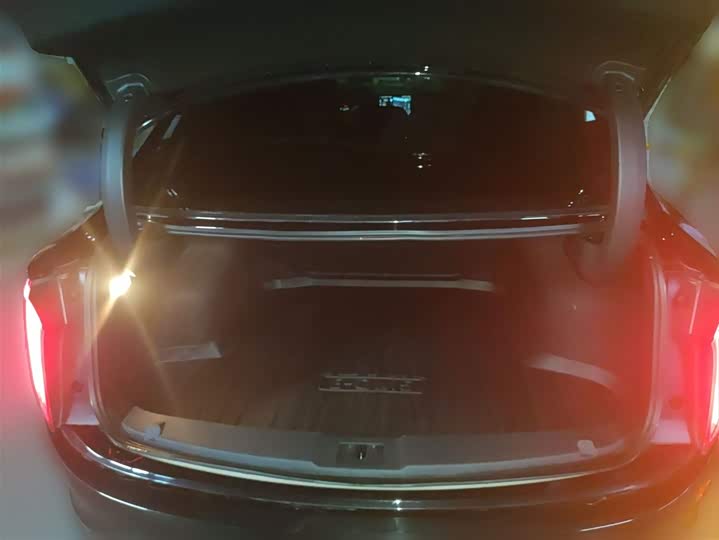 Hongqi E-QM5 2024 2024款 610km PLUS