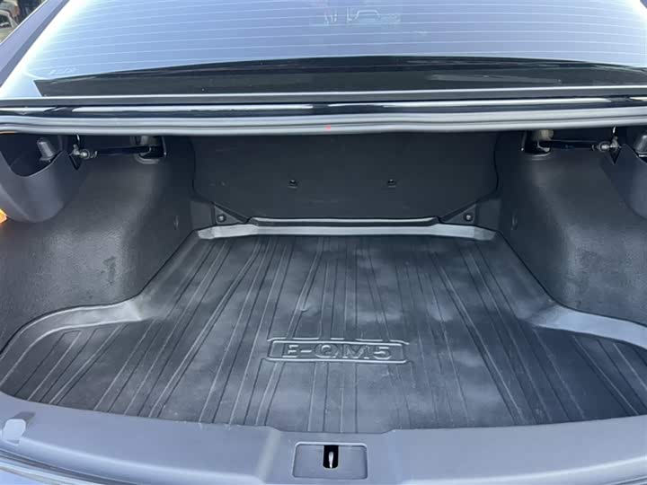 Hongqi E-QM5 2024 2024款 610km PLUS