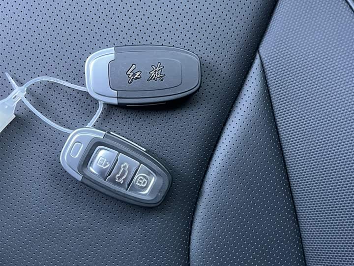 Hongqi E-QM5 2024 2024款 610km PLUS