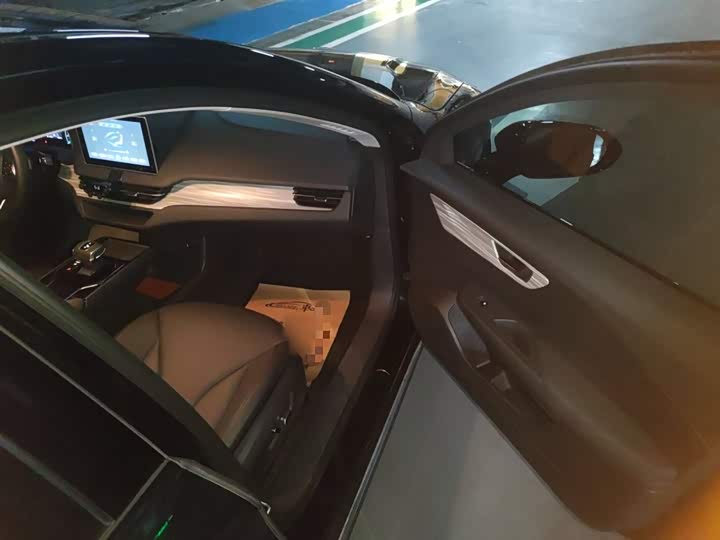 Hongqi E-QM5 2024 2024款 610km PLUS