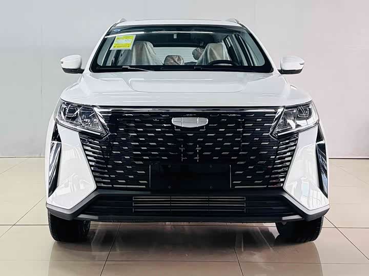 Geely Okavango Pro 2024 2024款 1.5T DCT 至尊版