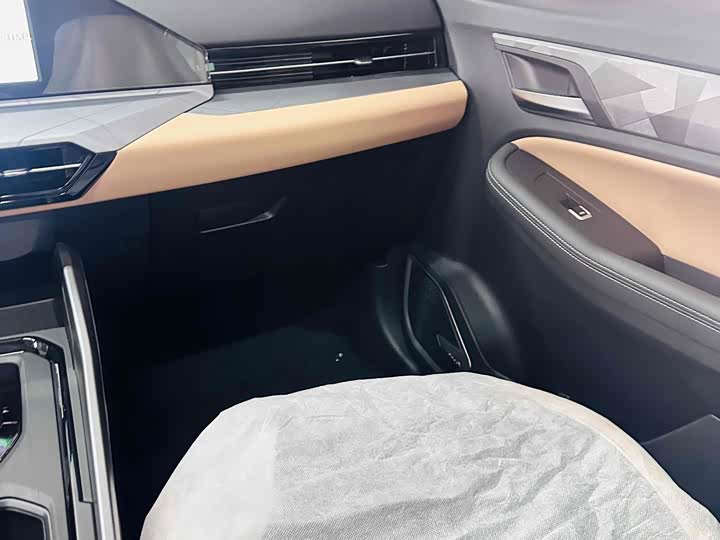 Geely Okavango Pro 2024 2024款 1.5T DCT 至尊版