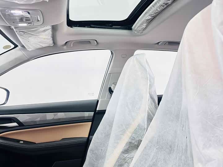 Geely Okavango Pro 2024 2024款 1.5T DCT 至尊版