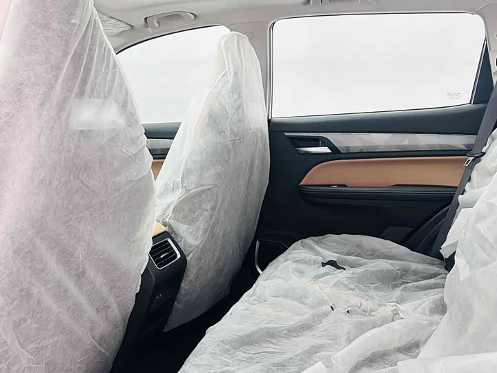 Geely Okavango Pro 2024 2024款 1.5T DCT 至尊版