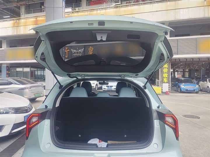 Geely Geometry E Firefly 2024 2024款 301km 星光