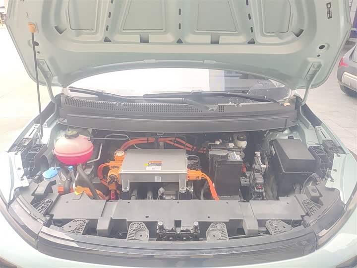 Geely Geometry E Firefly 2024 2024款 301km 星光