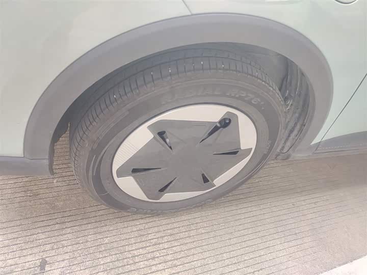 Geely Geometry E Firefly 2024 2024款 301km 星光