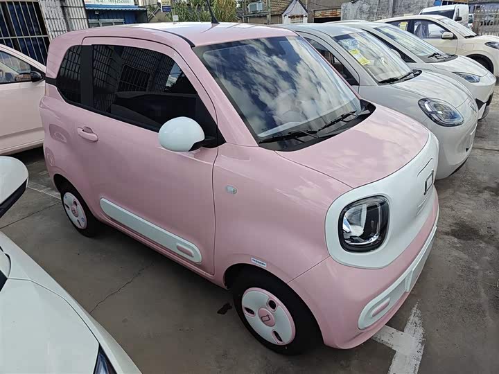 Bestune Pony 2025 2025款 222km 灵动马