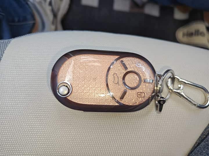 Bestune Pony 2025 2025款 222km 灵动马