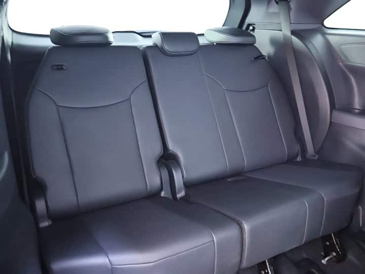 Toyota Sienna 2024 2024款 2.5L混动 四驱尊贵版