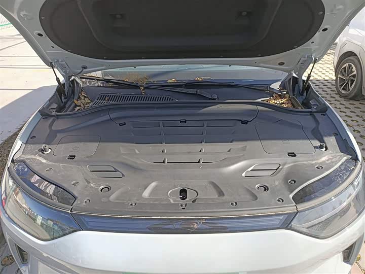 Leapmotor C11 2024 2024款 纯电 515智行版