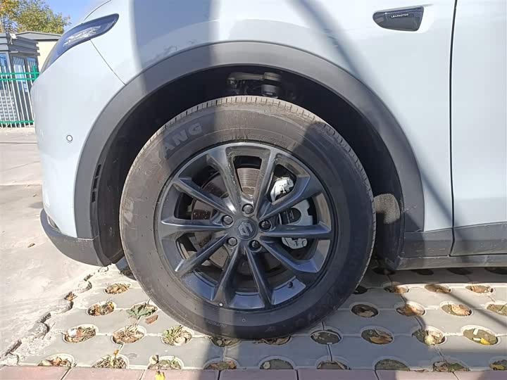 Leapmotor C11 2024 2024款 纯电 515智行版