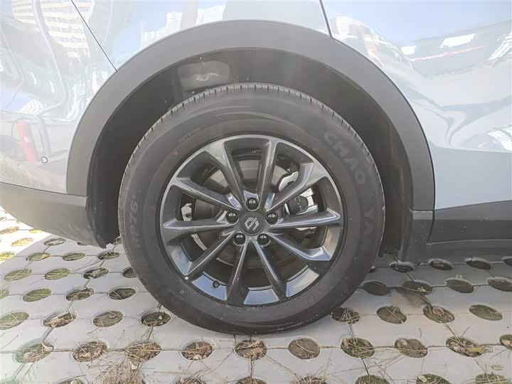 Leapmotor C11 2024 2024款 纯电 515智行版