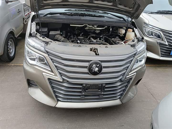 Dongfeng Forthing Lingzhi M5 2024 2024款 M5L 1.5T 手动基本型 7座
