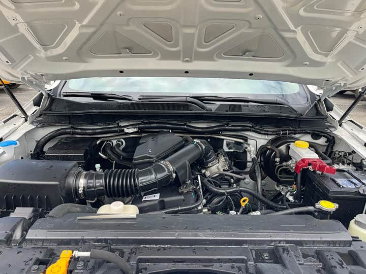 Dongfeng Rich 6 2021 2021款 2.4L手动四驱汽油尊享型2TZD