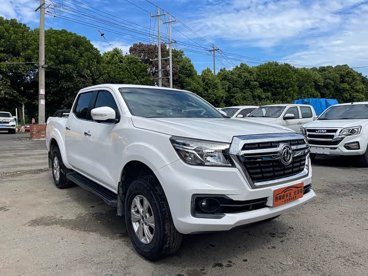 Dongfeng Rich 6 2021 2021款 2.4L手动四驱汽油尊享型2TZD