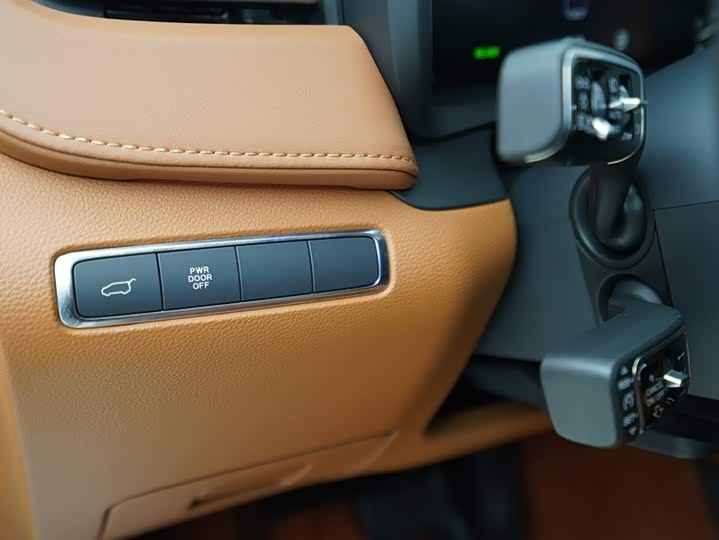 Hongqi HQ9 2023 2023款 2.0T 智联旗畅版