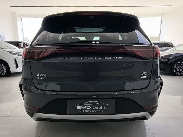 2025 BYD Tang Hybrid/EV