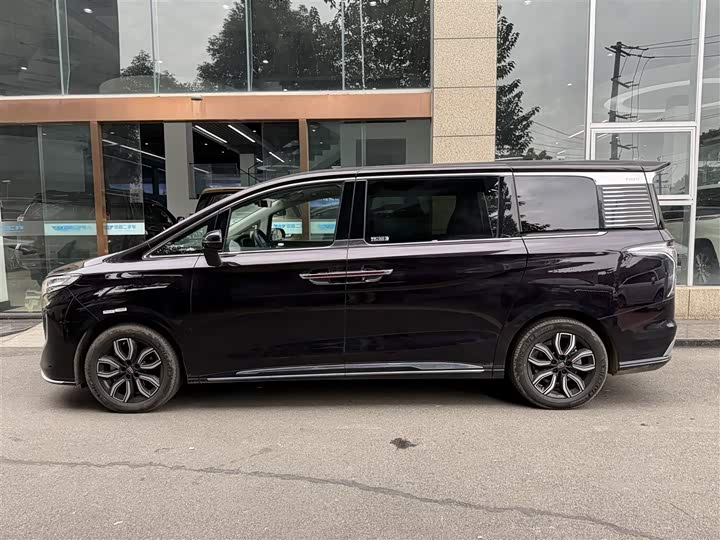 Hongqi HQ9 2023 2023款 2.0T 智联旗享版