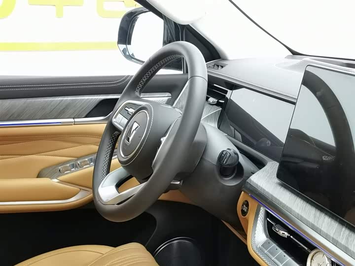 Tank 500 Hybrid 2025 2025款 Hi4-Z