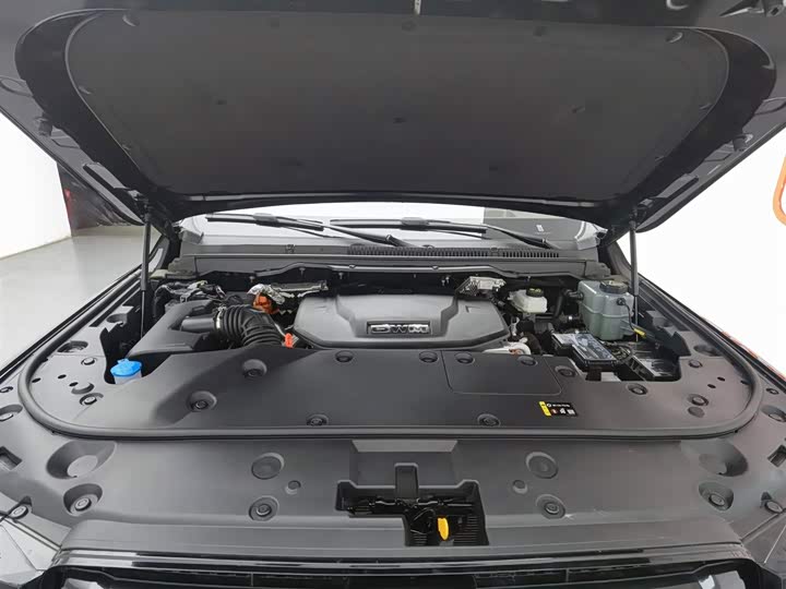 Tank 500 Hybrid 2025 2025款 Hi4-Z