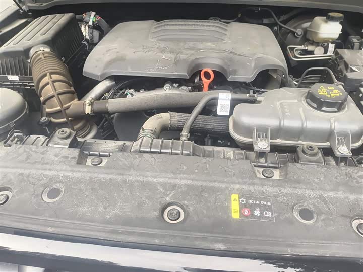 Tank 300 2024 2024款 2.0T 征服者