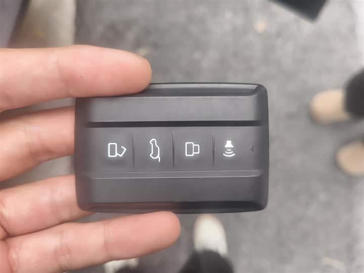 Tank 300 2024 2024款 2.0T 征服者