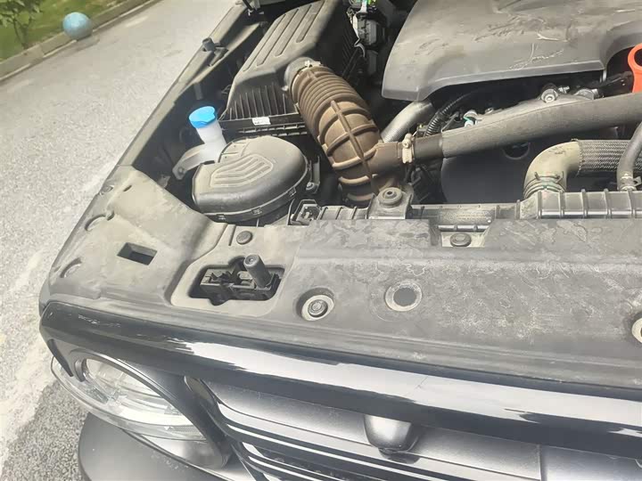 Tank 300 2024 2024款 2.0T 征服者