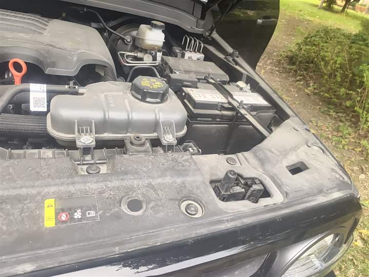 Tank 300 2024 2024款 2.0T 征服者