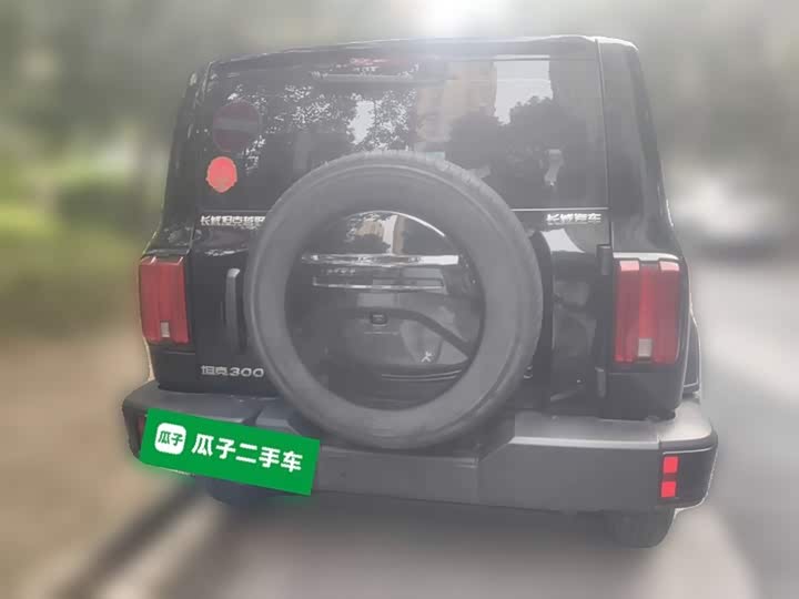 Tank 300 2024 2024款 2.0T 征服者