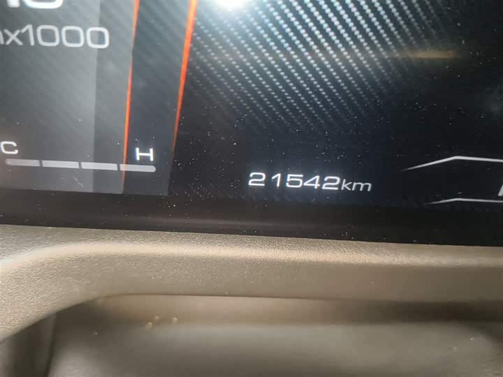 Tank 300 2024 2024款 2.0T 征服者