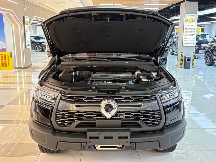 Great Wall Pao 2024 2024款 2.4T越野版自动柴油四驱高阶版