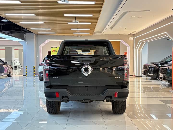 Great Wall Pao 2024 2024款 2.4T越野版自动柴油四驱高阶版