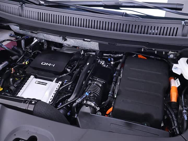 BYD Xia 2025 2025款 DM-i 1.5T 180km 超越型