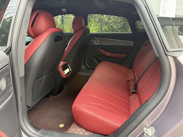 Exeed Sterra ES 2025 2025款 增程 Max 城区辅助驾驶