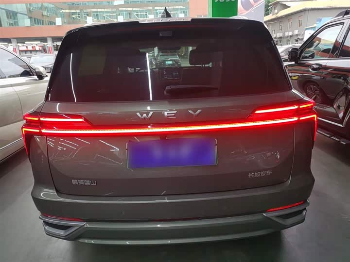 Wey Lanshan 2025 2025款 四驱智驾 Ultra