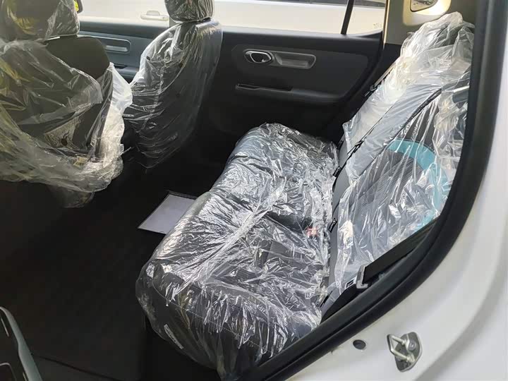 GAC Aion Y 2023 2023款 Plus 510 乐享版