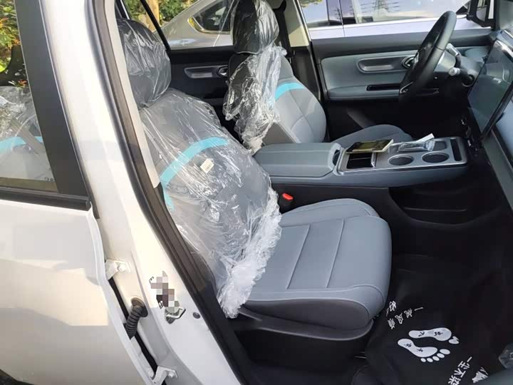 GAC Aion Y 2023 2023款 Plus 510 乐享版