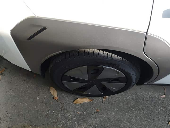 GAC Aion Y 2023 2023款 Plus 510 乐享版