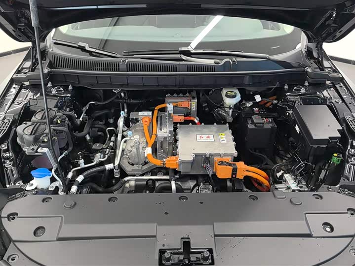 Hongqi E-QM5 2024 2024款 560km PLUS