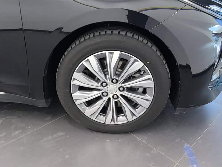 Hongqi E-QM5 2024 2024款 560km PLUS