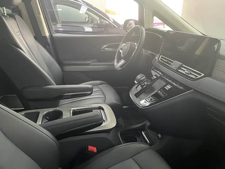 Hongqi HQ9 Hybrid 2024 2024款 2.0T 四驱商务版