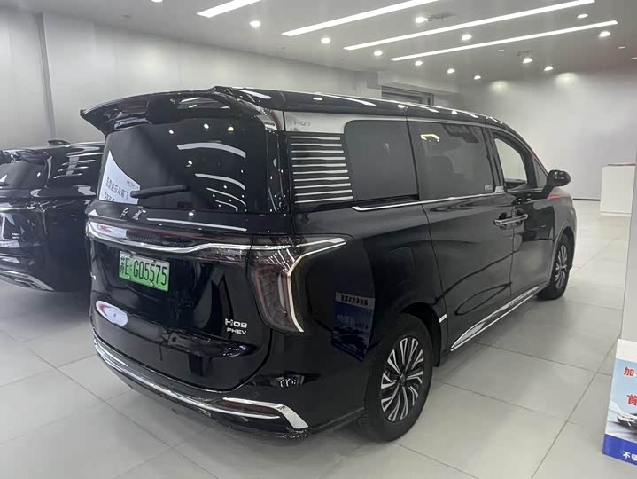Hongqi HQ9 Hybrid 2024 2024款 2.0T 四驱商务版